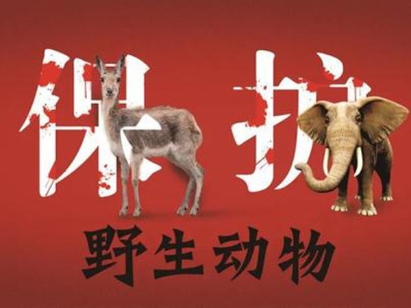 公益广告 （灯布）